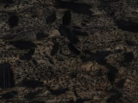 /album/galeria-de-fotos-granito/granito-golden-bird-jpg/